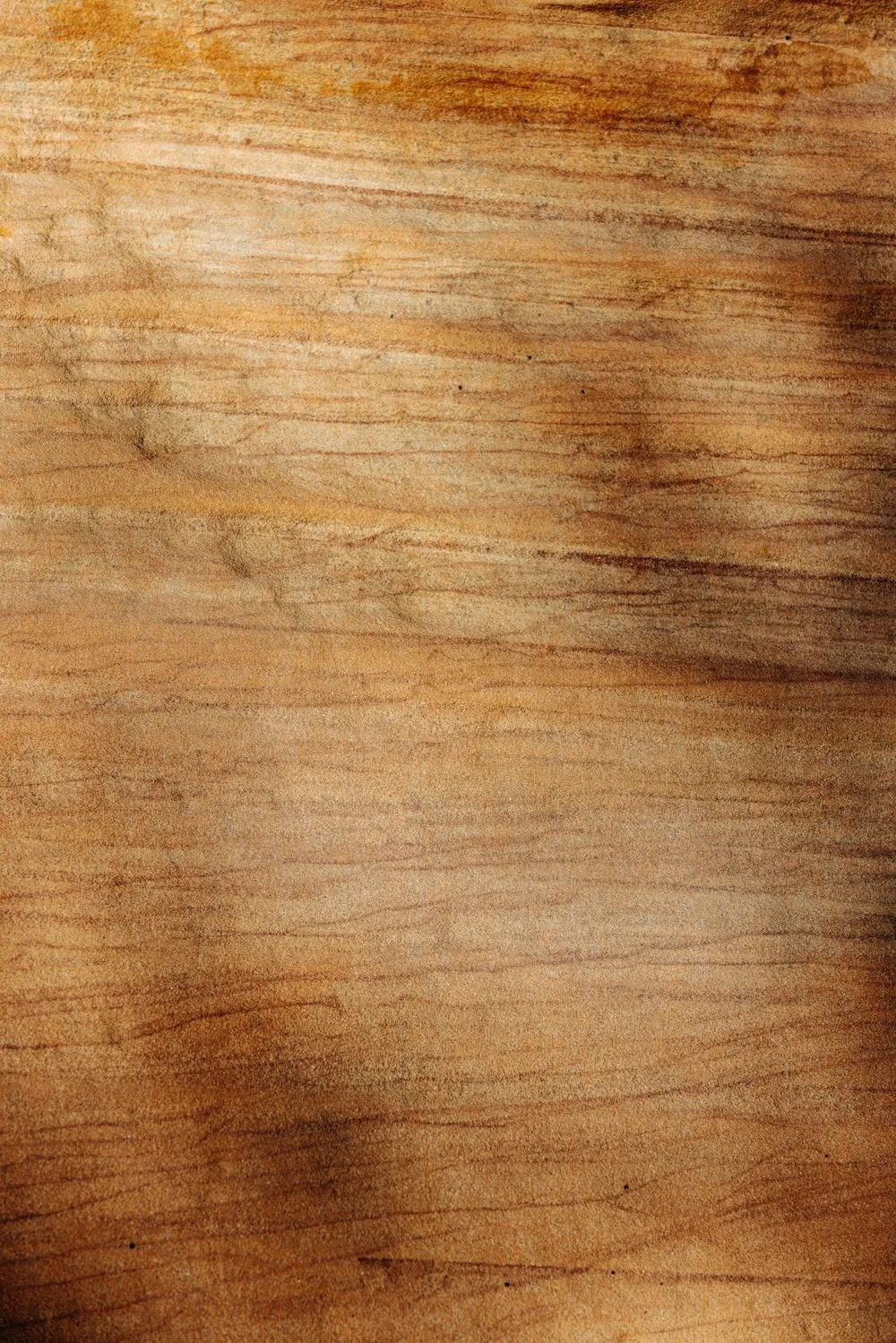 Ván phủ Veneer gỗ tự nhiên